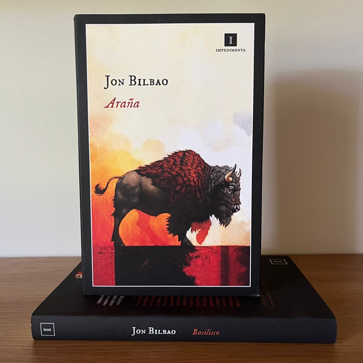 Reseña de Araña de Jon Bilbao – Leer es vivir dos veces