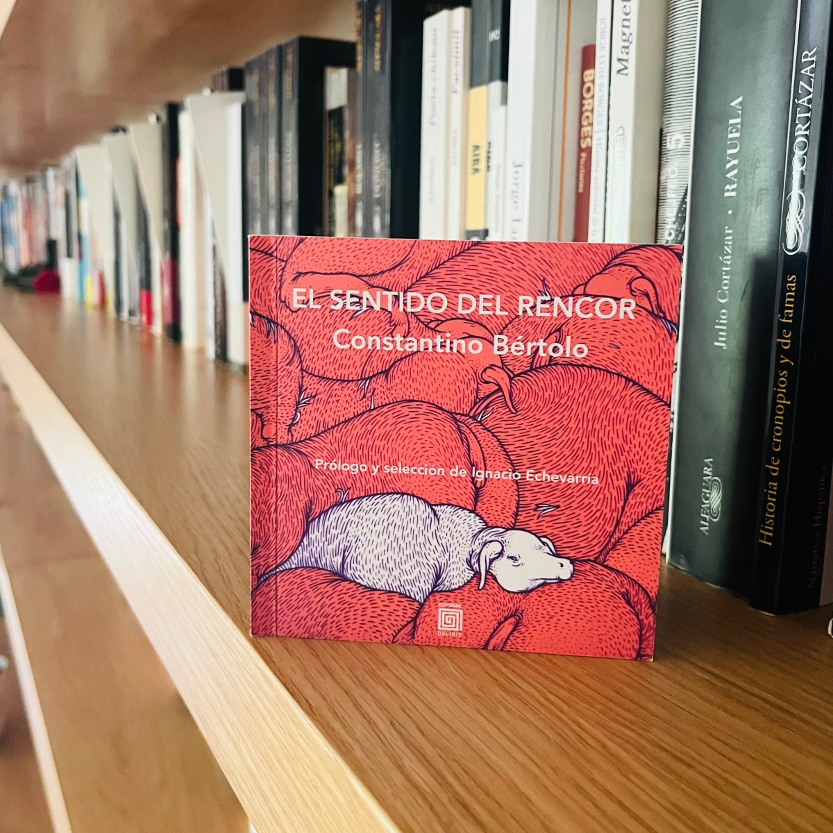 Reseña de El sentido del rencor de Constantino Bértolo – Leer es vivir dos veces