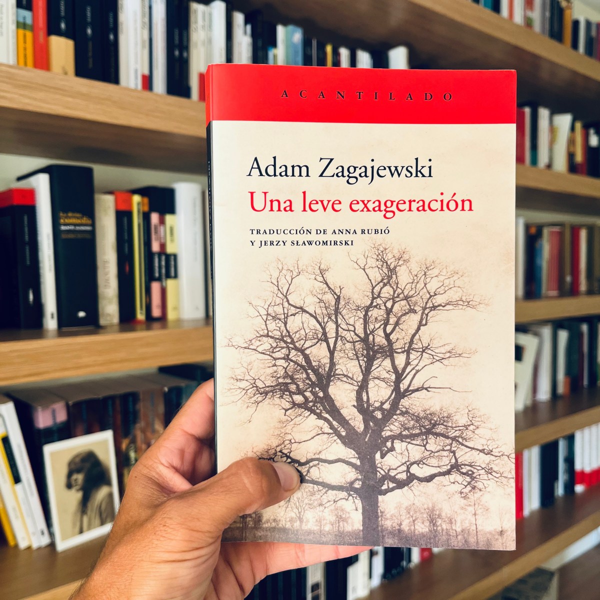 Reseña de Una leve exageración de Adam Zagajewski – Leer es vivir dos veces