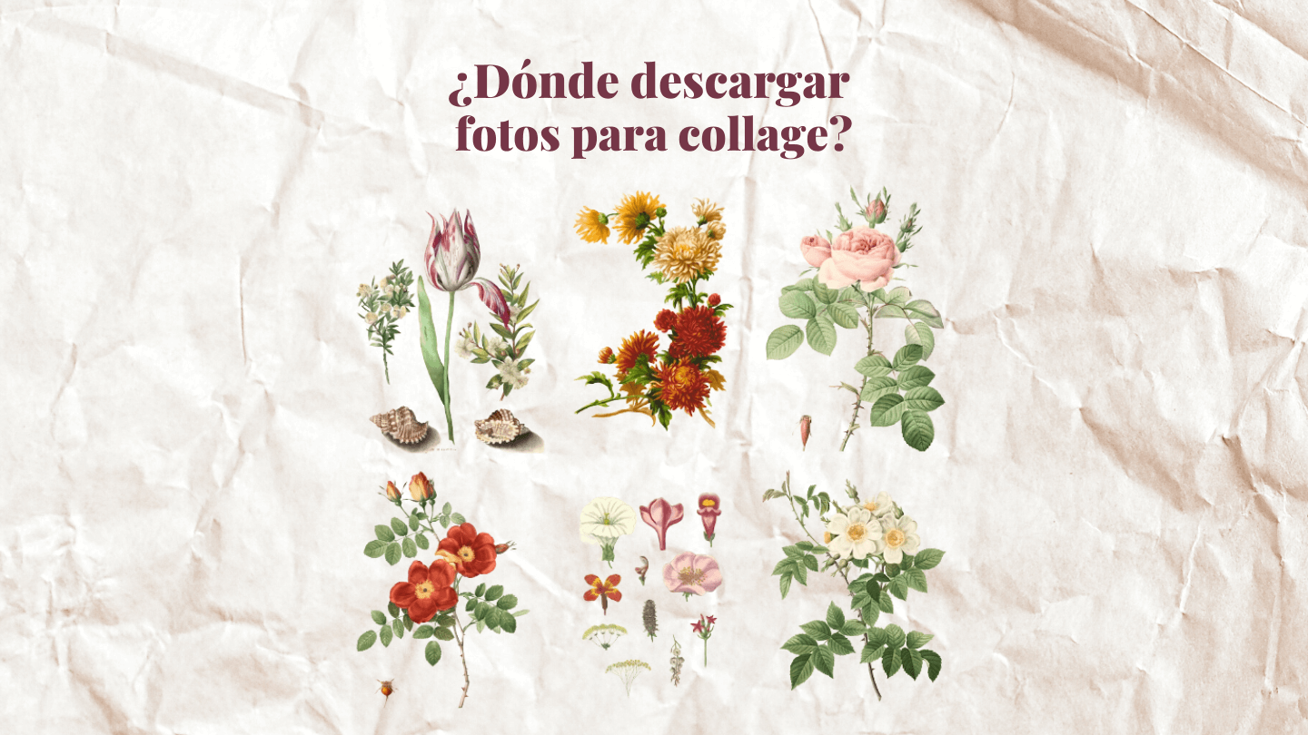 donde descargar fotos collage