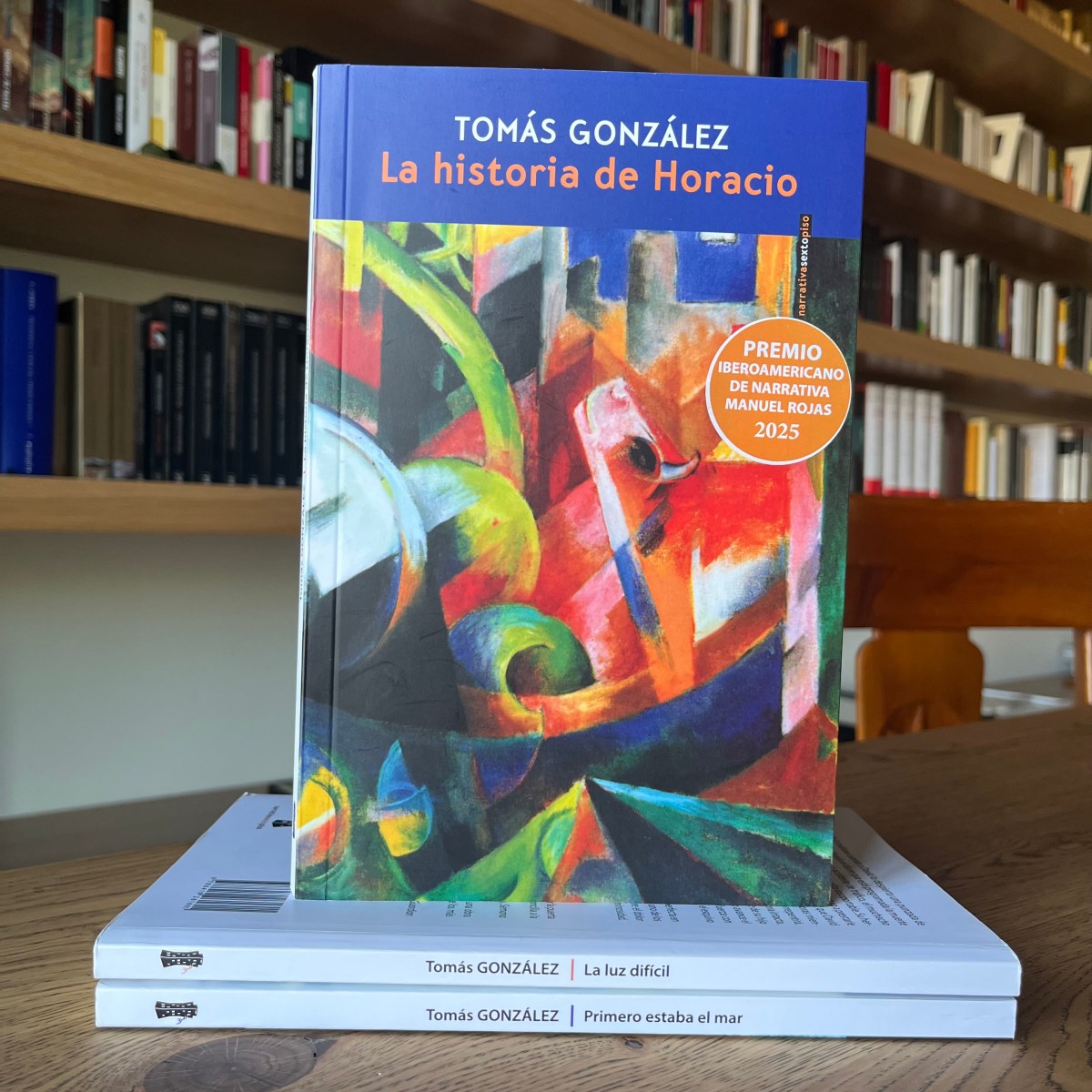 Reseña de La historia de Horacio de Tomás González – Leer es vivir dos veces
