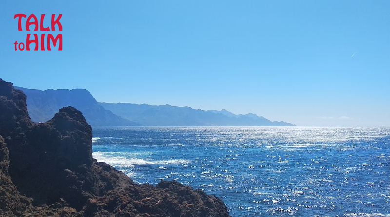 Talk To Him: Summer Playlist 2025