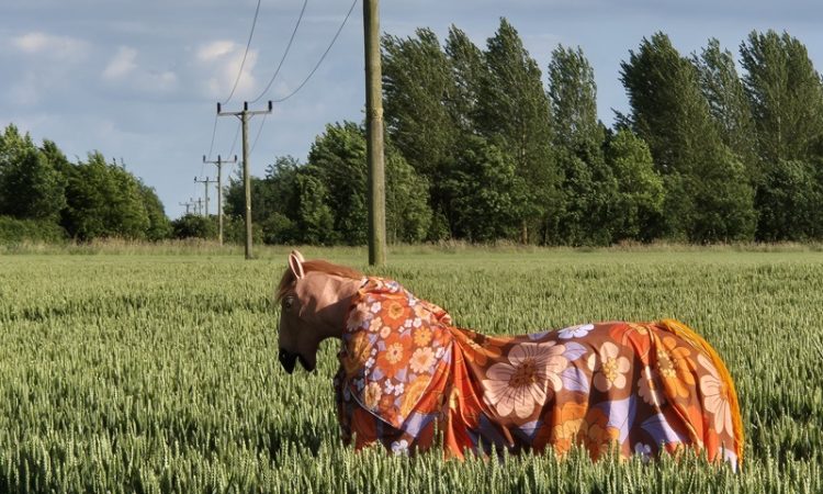 Pantomime Horses publican nueva versión de "Plastic glasses"