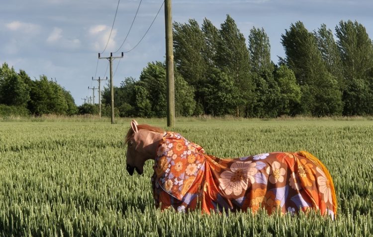 Pantomime Horses publican nueva versión de "Plastic glasses"